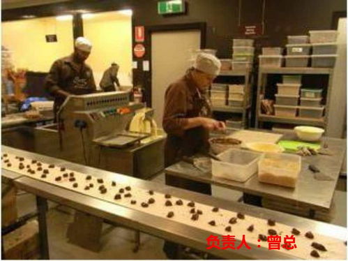 探索海外就業(yè)機遇 常州赴德國勞務(wù)與挪威清真食品廠招聘解析